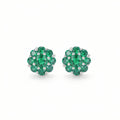 Magic Green